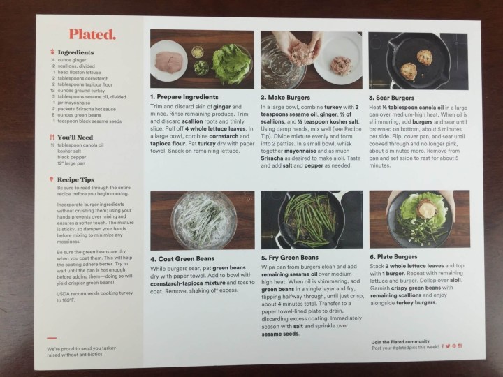 plated january review instructions