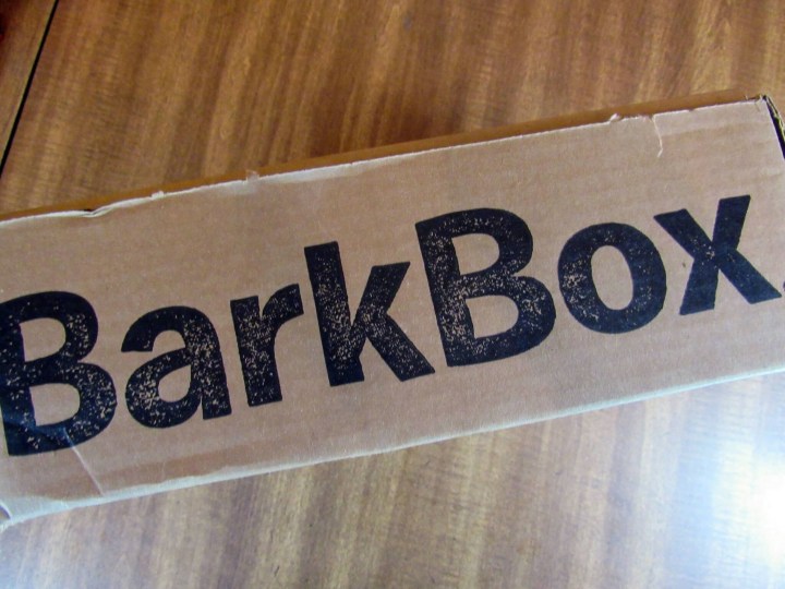 Barkbox!