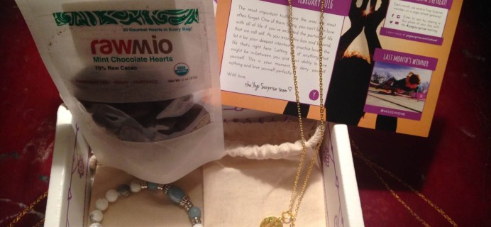 Yogi Surprise Jewelry Box February 2016 Subscription Review & Coupon