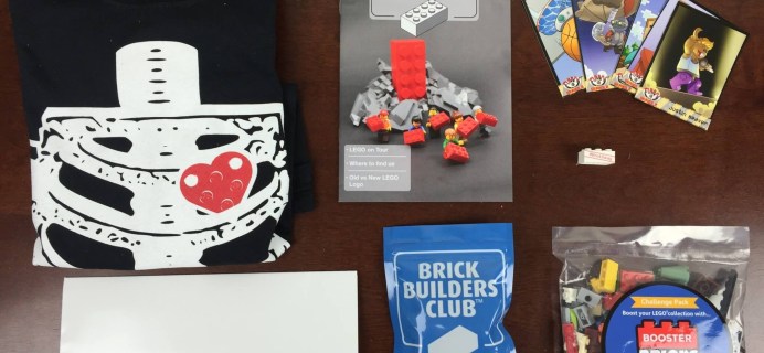 Brick Builders Club January 2016 Subscription Box Review