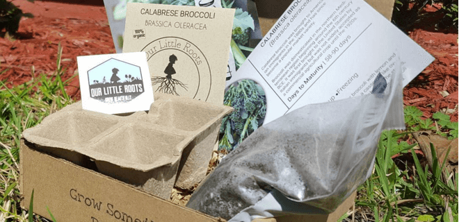 Our Little Roots First Box $5.95 Coupon – TODAY ONLY!
