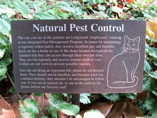 pest control photo