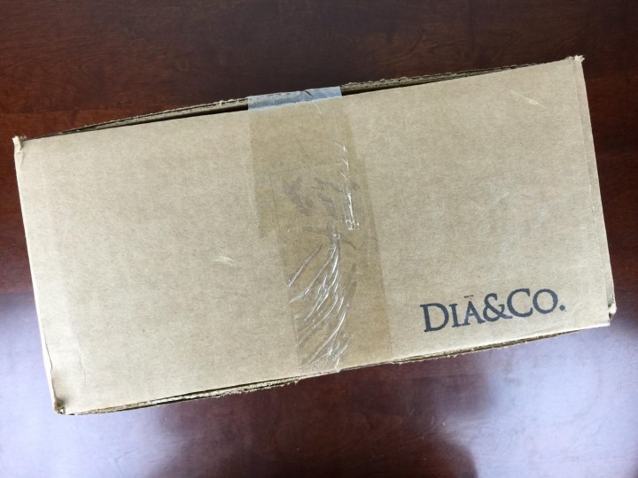 Dia & Co Box March 2016 box