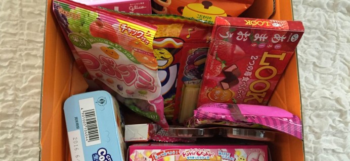 Tokyo Treat February 2016 Subscription Box Review
