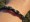 Closeup