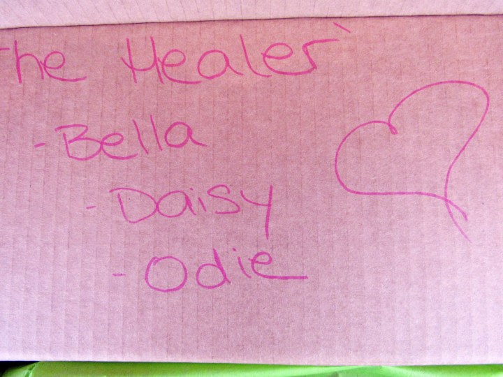 The Healer Box