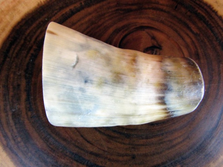 Bull Horn