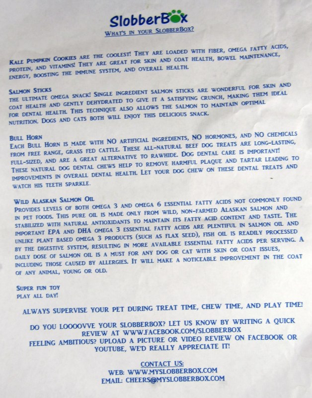 Information Sheet