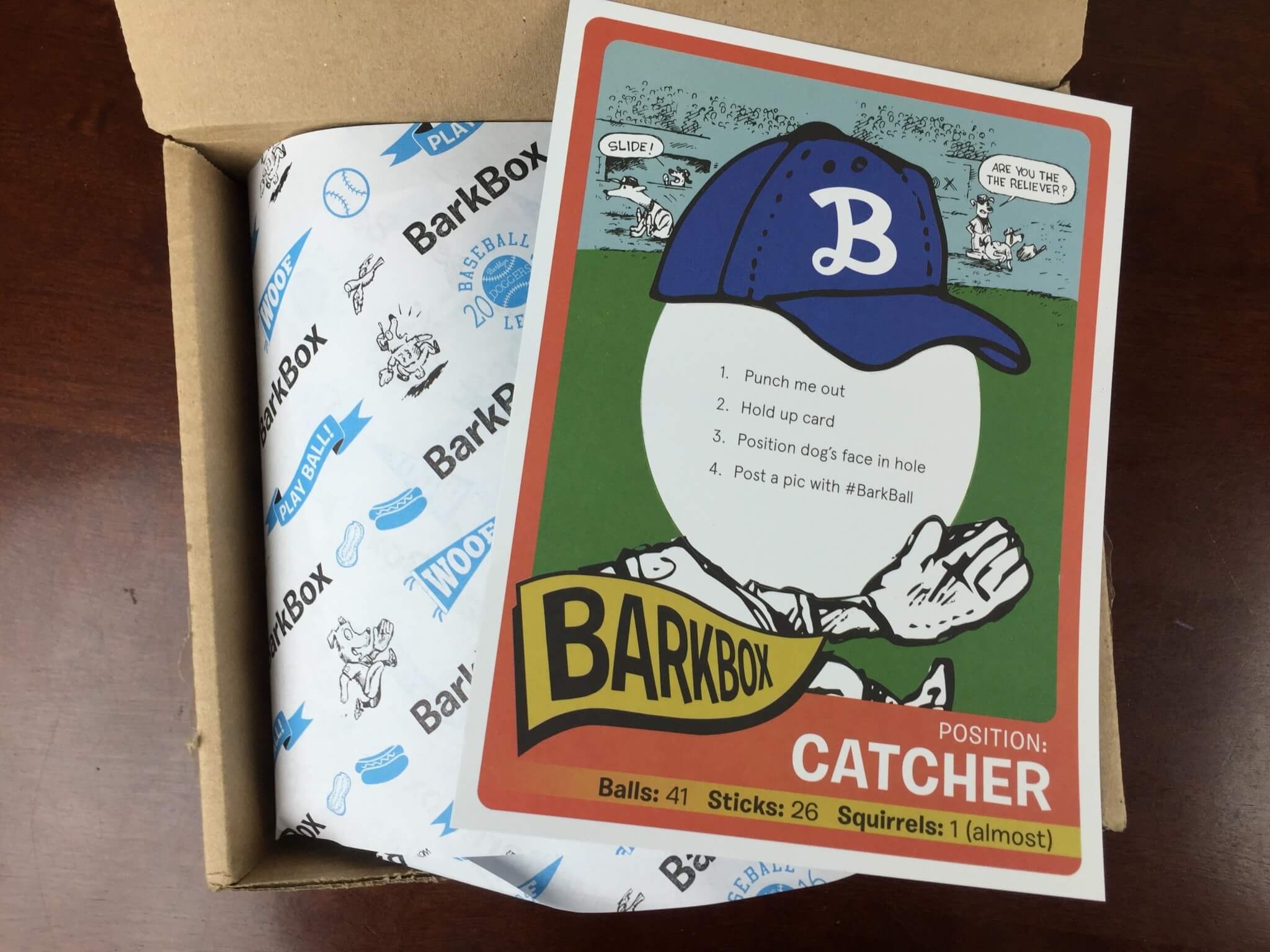 barkbox baseball