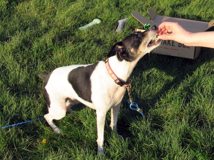 Treats!