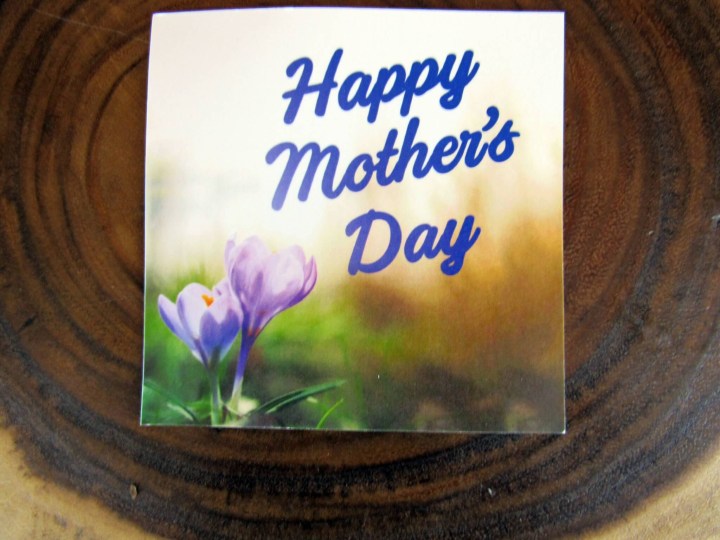 Closer Look at the Card