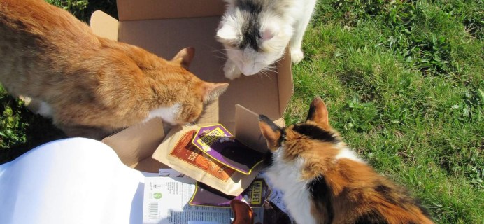April 2016 PetGiftBox Cat Subscription Box Review + 50% Off Coupon