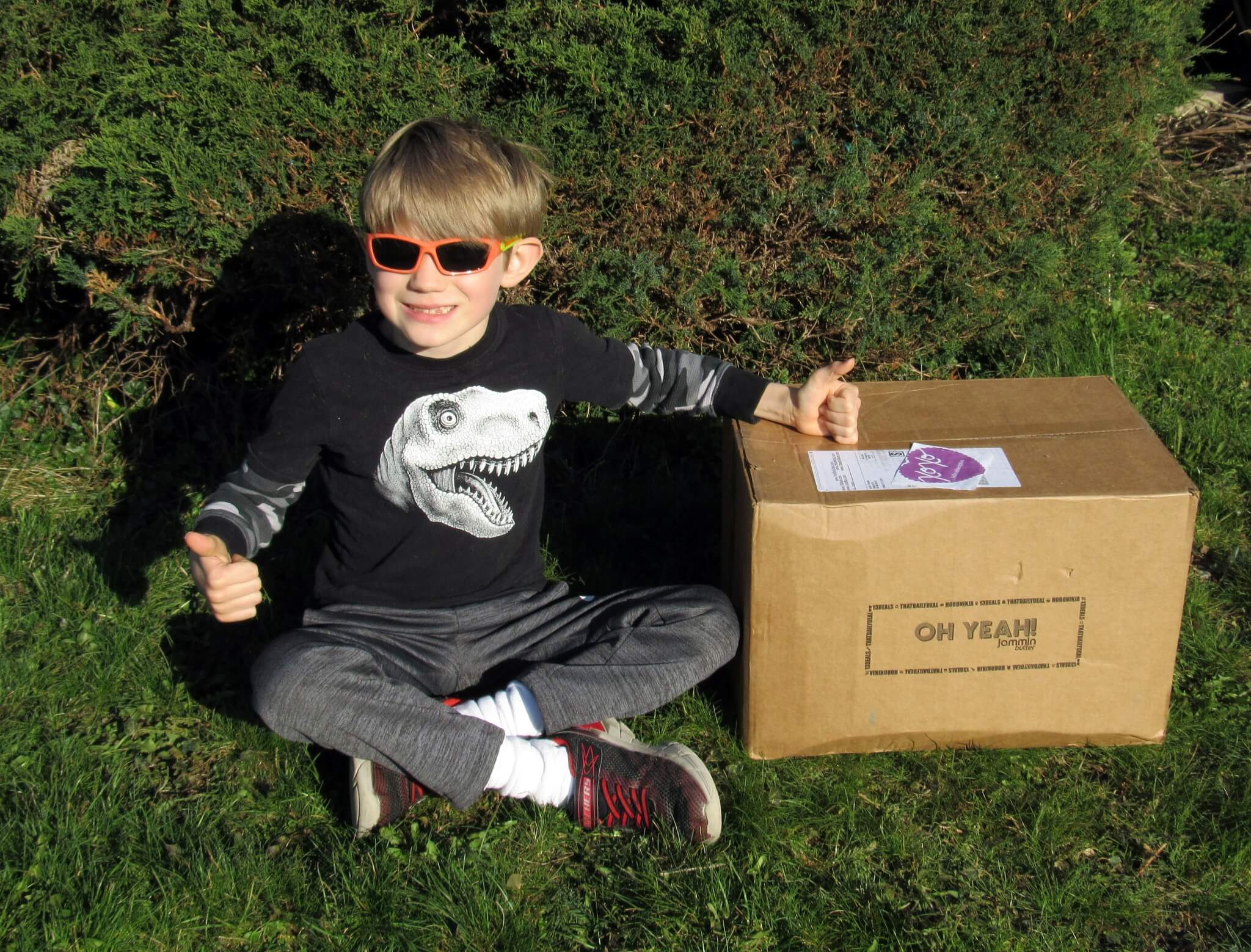 Pet Treater April 2016 Dog Subscription Box Review + Free Pet Bed