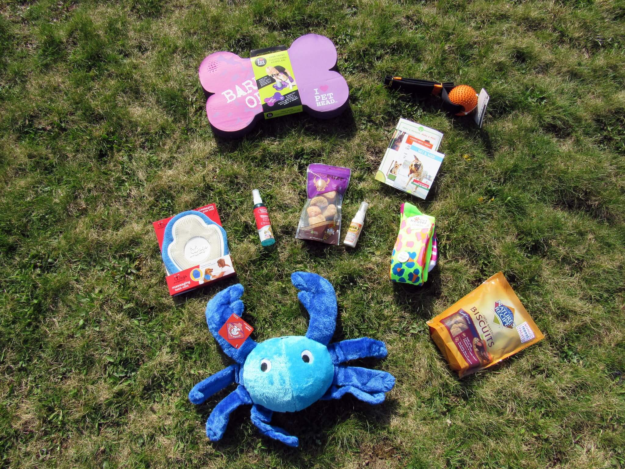 Pet Treater April 2016 Dog Subscription Box Review + Free Pet Bed