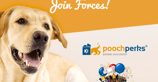 Free Treats with Pooch Perks Subscription + Pooch Party Packs Merger