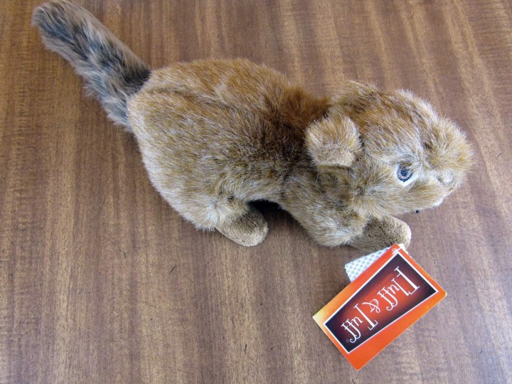 Fluff & Tuff Squirrel