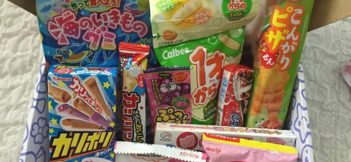 Japan Candy Box March 2016 Subscription Box Review + Giveaway