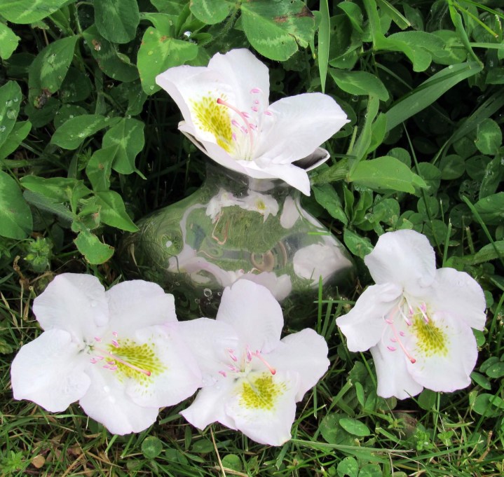 Mirabel Mini Vase