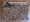 XXL Leopard Pouch