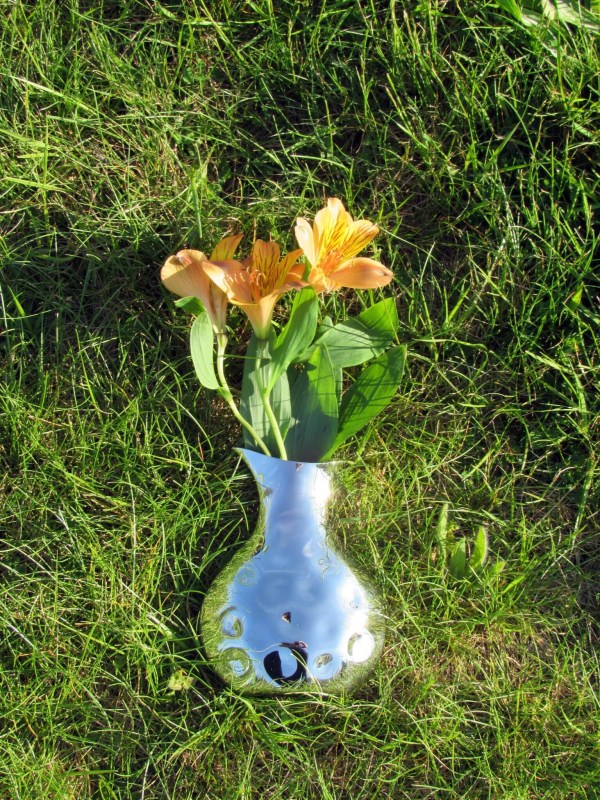 Buds in the vase