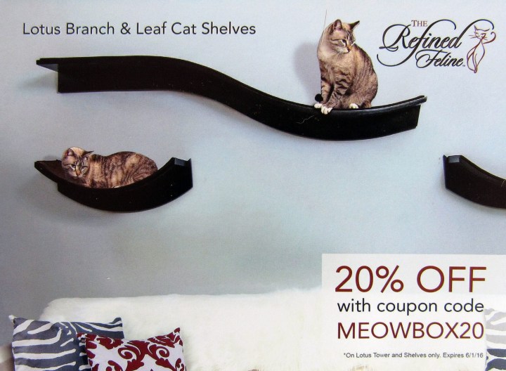 Cat Shelves!