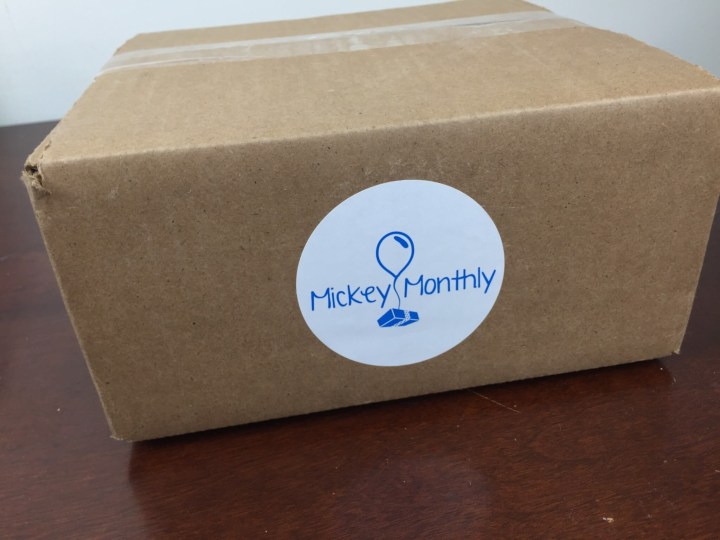 Mickey Monthly Subscription Box Review - May 2016 - Hello Subscription