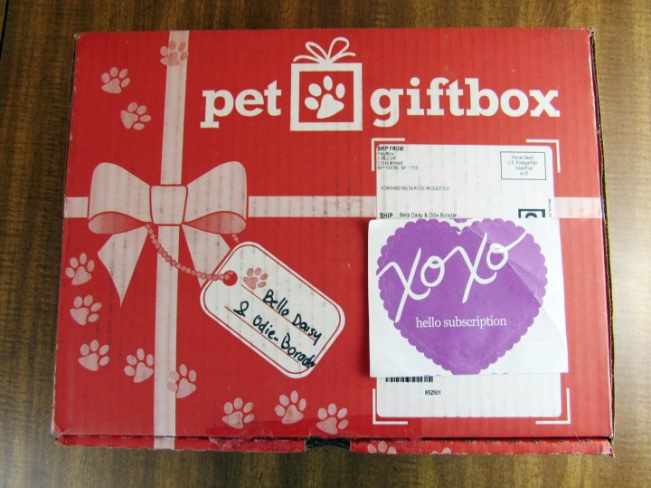 Pet Gift Box - Dog