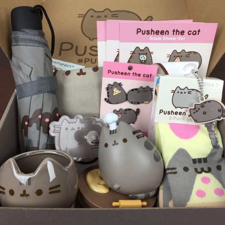 pusheen pizza box