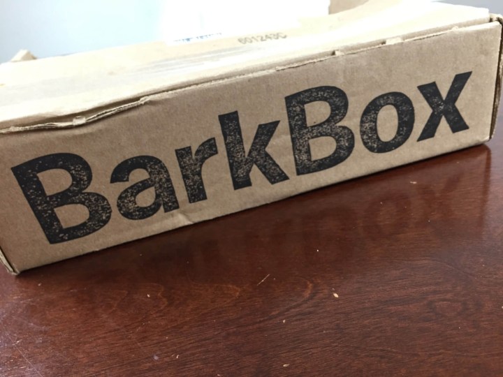 Barkbox June 2016 box
