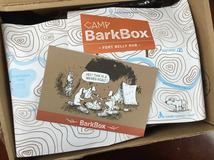 Barkbox June 2016 unboxing