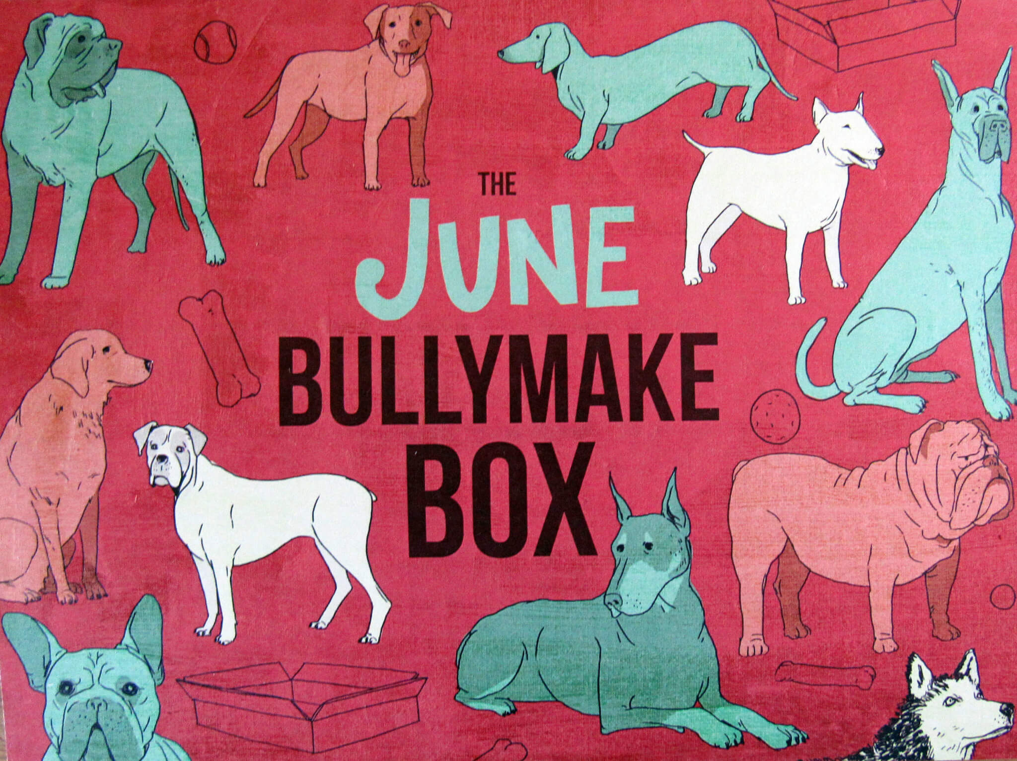 BullyMake Subscription Box Review - June 2016 - Hello Subscription