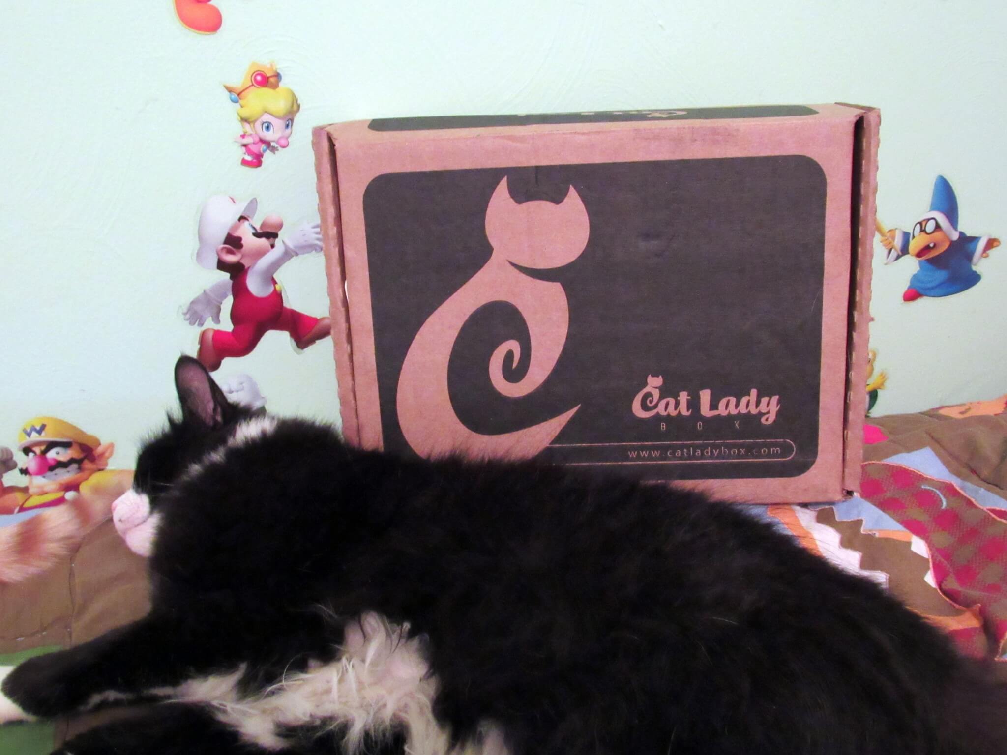 cat subscription box uk