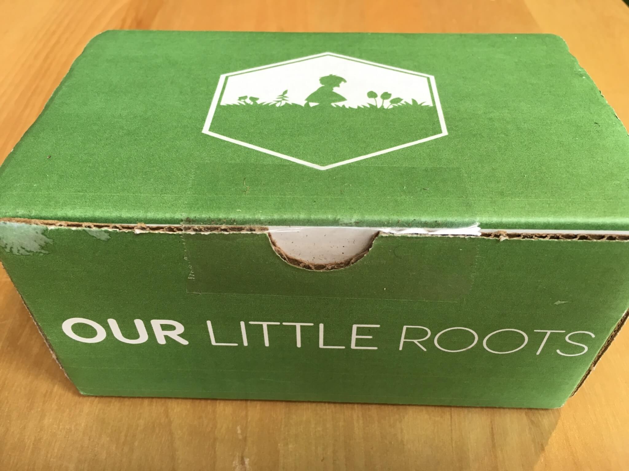 Our Little Roots Subscription Box Review & Coupon June 2016 Hello