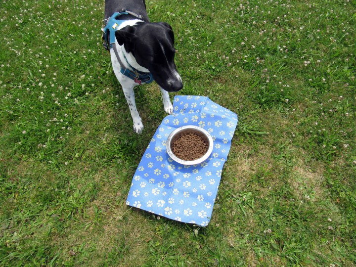 Why is my bowl outside on a mat?