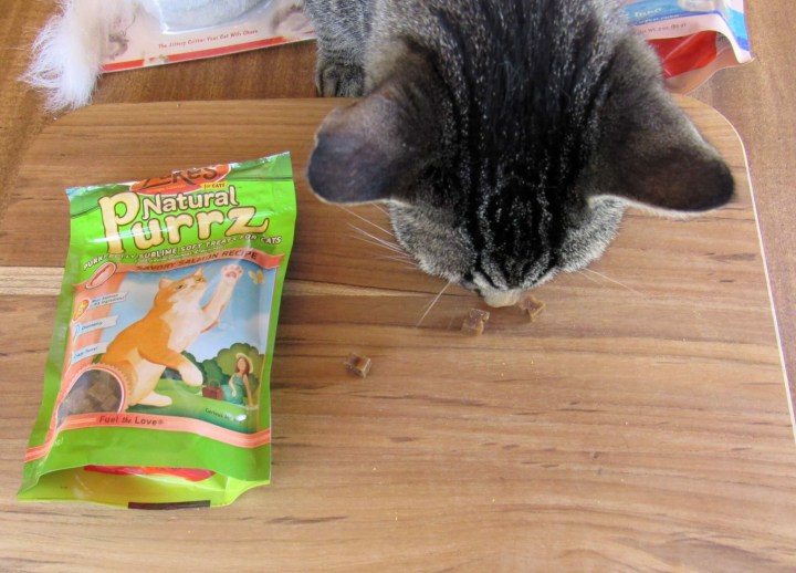 Bramble can't resist a treat!