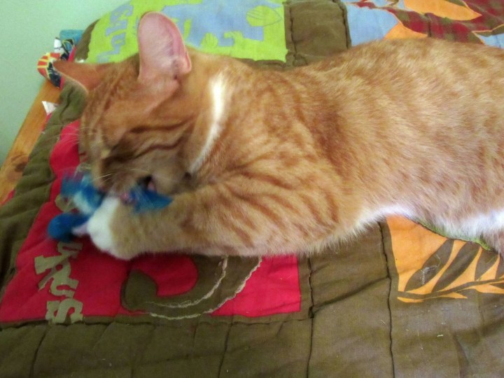 Puss in Boots
