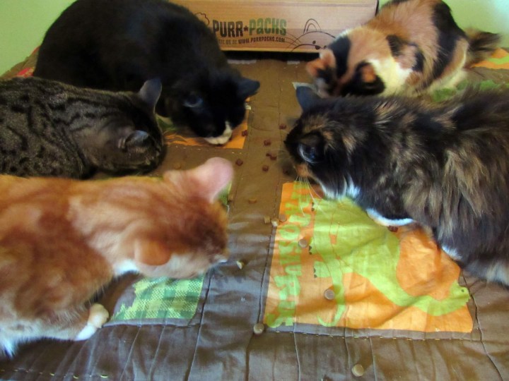 Time for treats