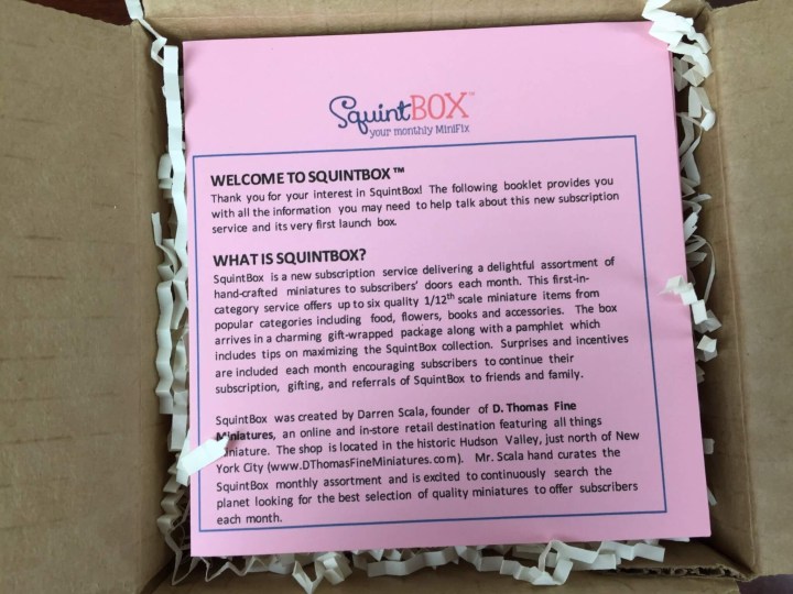 Squint Box June 2016 box