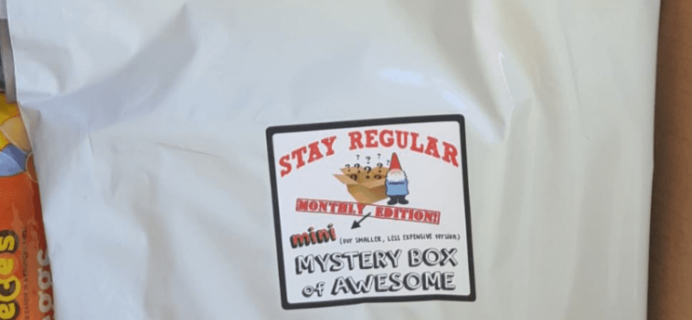 Mini Stay Regular Monthly Mystery Box June 2016 Subscription Box Review