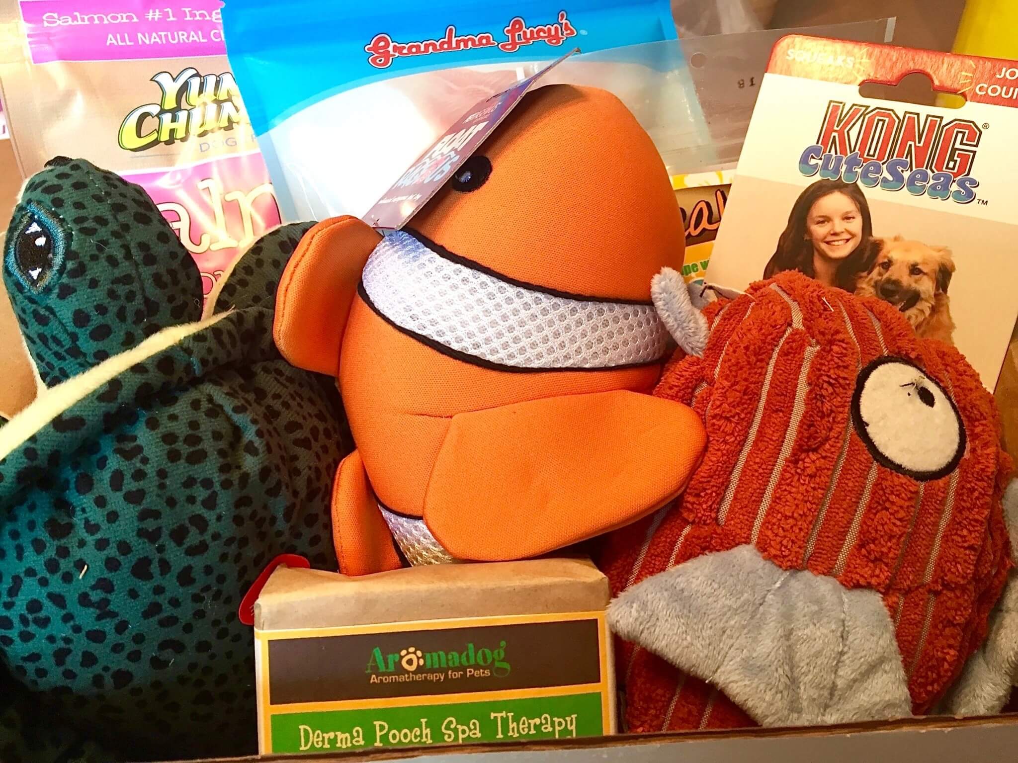 Pooch Perks June 2016 Subscription Box Review & Coupon Hello Subscription