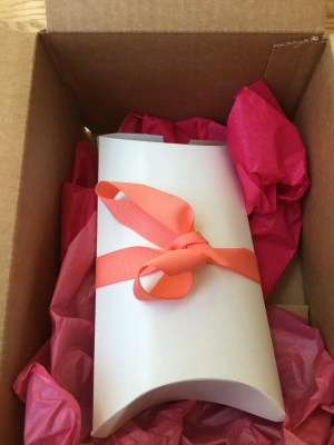 Periwinkle Girls’ Earring Subscription Box Review – July 2016