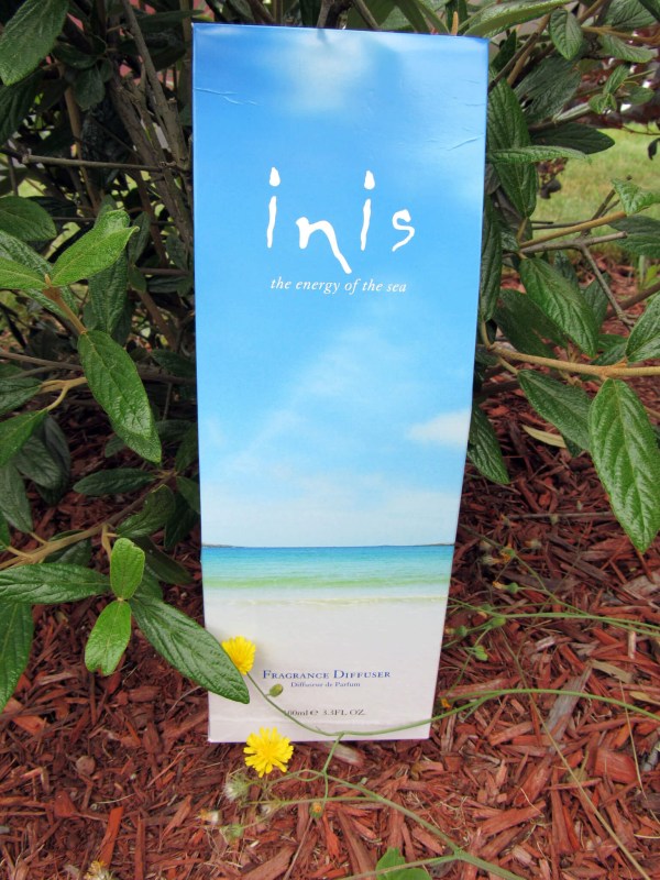 Inis Energy of the Sea Diffuser