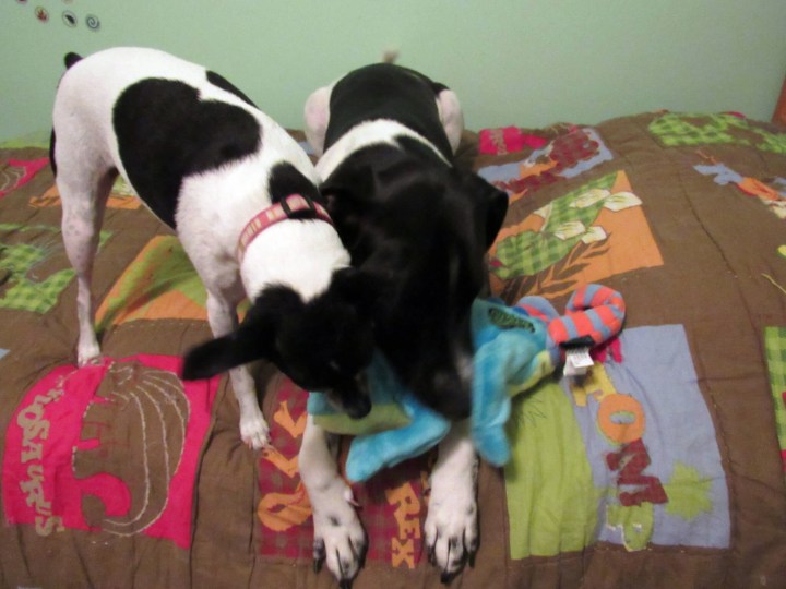 Time to play!