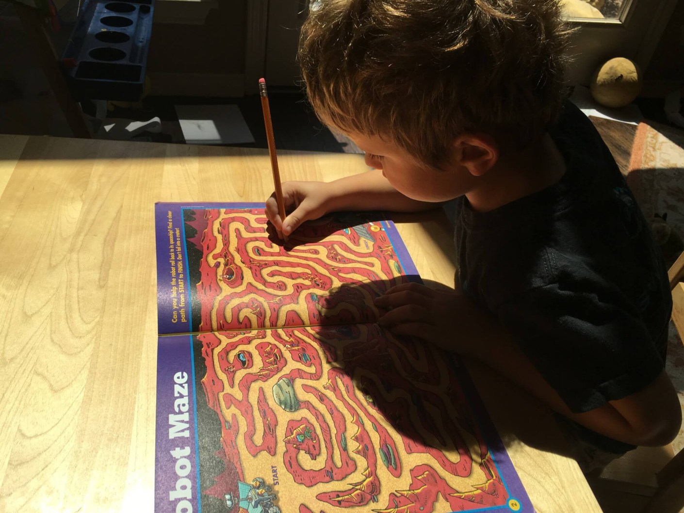 Highlights Puzzle Buzz Book Club July 2016 Subscription ...