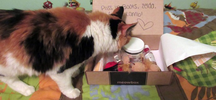 June 2016 Meowbox Subscription Box Review & Coupon