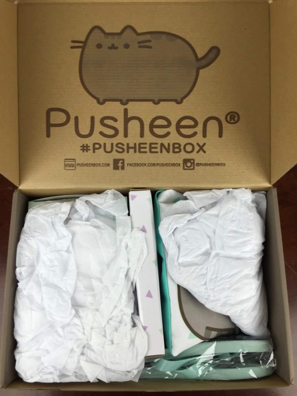 Pusheen Box Summer 2016 unboxed