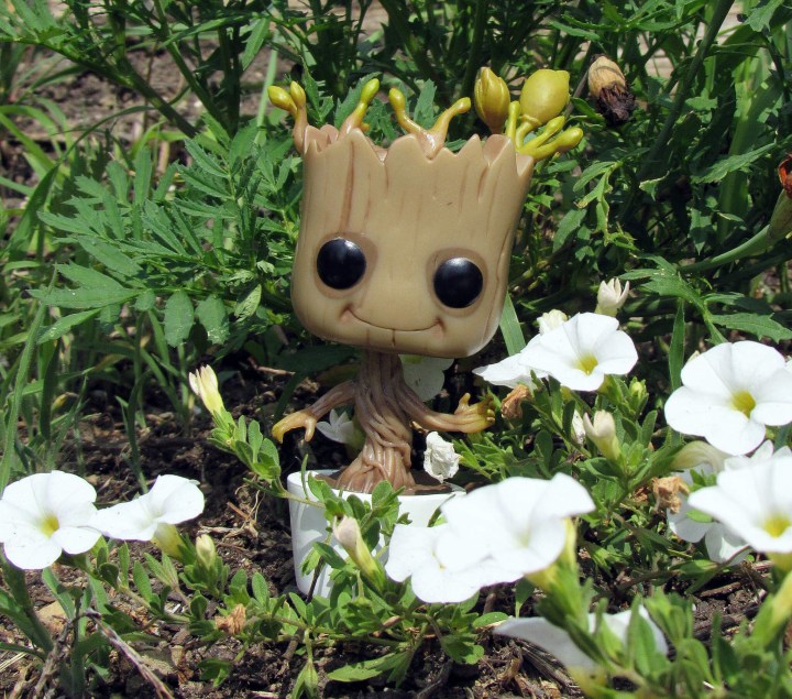 Groot is hanging out in the flower bed.