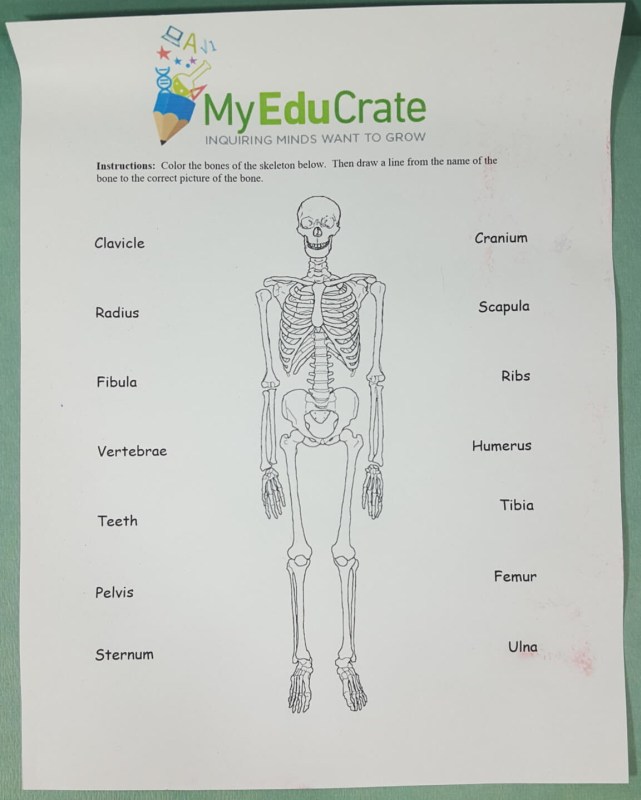 educrate_july2016_coloring