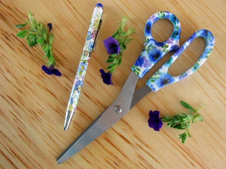 Pen and scissors