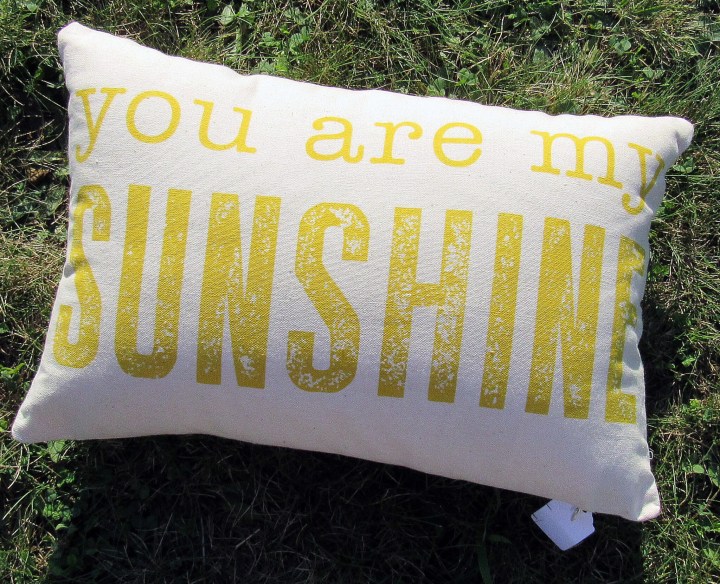 Papersource You are my Sunshine Pillow